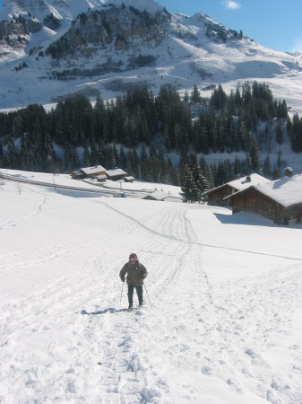 sur les pentes du col de la colombière