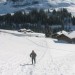 sur les pentes du col de la colombière